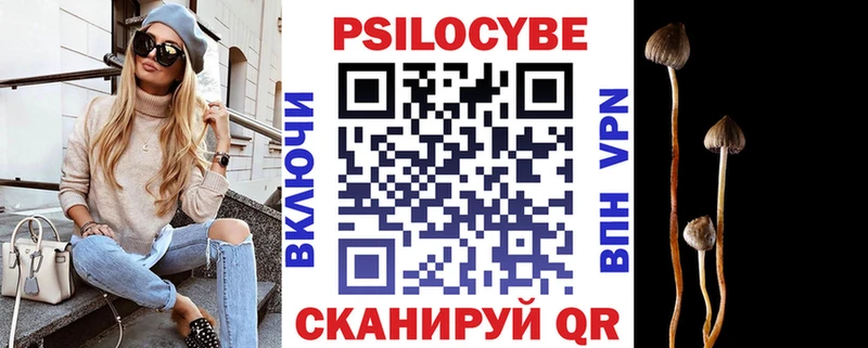 как найти   Колпашево  MEGA маркетплейс  Псилоцибиновые грибы ЛСД 